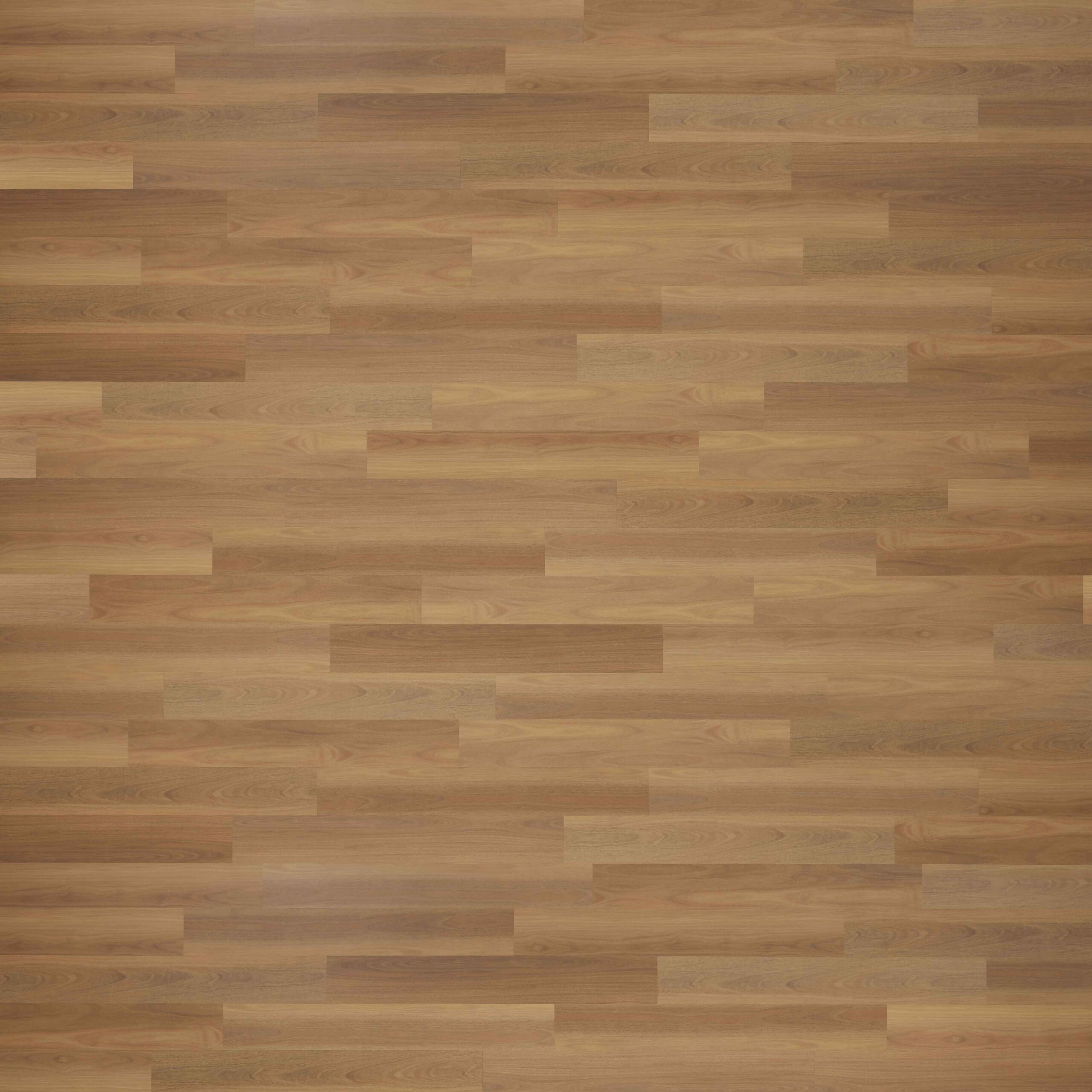 Coastal Blackbutt - Naturale Plank 3.0 Luxury Vinyl Plank Flooring