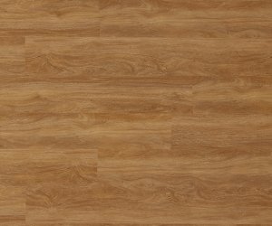 Flooring decor - Imagine Floors by Airstep High Shine Laminate Flooring in Eucalyptus Steps Gloss Tasmanian Oak